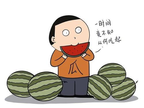 怎么利用吃瓜挣钱,揭秘如何从网络热点中掘金