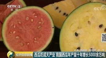 西瓜吃瓜群众蛋糕视频,甜蜜瞬间，欢乐共享