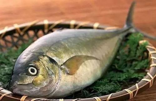 吃瓜鱼在哪钓最好,揭秘吃瓜鱼的最佳垂钓胜地