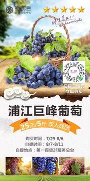 吃瓜东阳,揭秘娱乐圈背后的故事