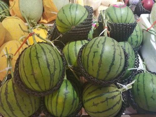 小愿吃瓜,揭秘娱乐圈那些不为人知的幕后故事