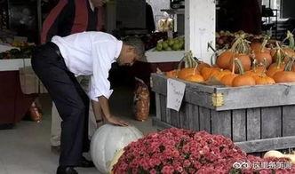 吃瓜来后屯,揭秘网络热议背后的真相与反思