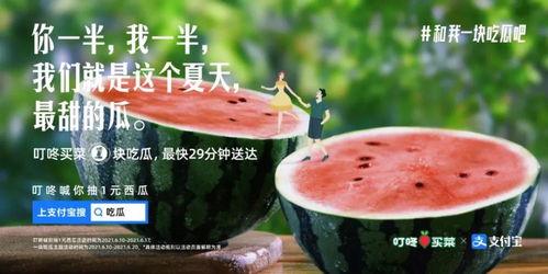 吃瓜的宝宝文案,趣味横生的瓜界风云录