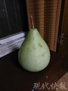 吃瓜急诊,揭秘娱乐圈的幕后真相与医疗救援