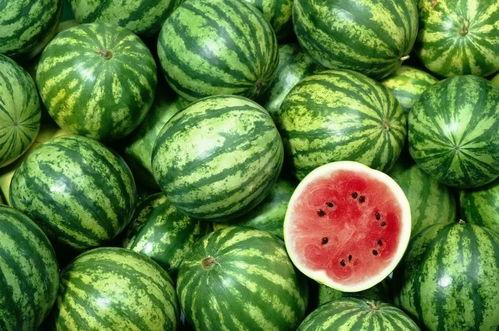 吃瓜管理人员,幕后操盘手如何引领网络潮流